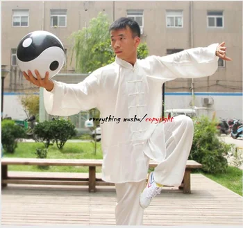 

Unique ABS Tai Chi Balls Wushu Kung Fu Training Balls Taiji Ball Tai Chi Qiu