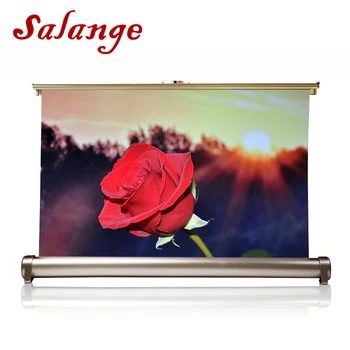 

Salange 20 inch Projector Screen 16:9 Desktop Screelastic Portable Front Projection Screen for Business Meeting