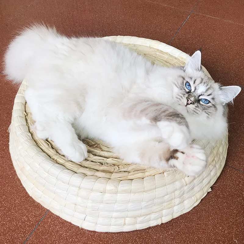Infant Shining Breathable Cat Bed Cat House Handwork Nest Summer Cat Scratch Board Summer Breathabl
