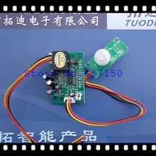 Сплит-модуль датчика тела датчик присутствия сигнальный ПИР контроллер