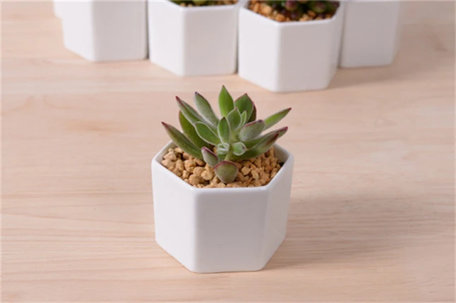 Отличная идея для маленьких растений! Милая Белая керамика вазы, шестигранный цветочный горшок, креативный маленький цветочный горшок ваза для подарка украшение дома