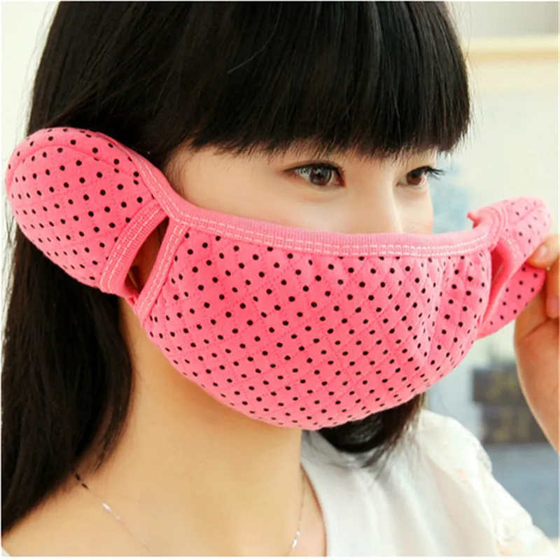 Winter Keep Warm Anti Cold Ear Protection Combo Masks Earmuffs Ride