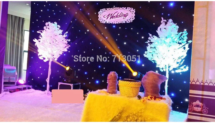 bw led star curtain 2.jpg