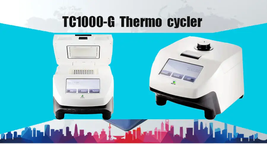 thermal cycle (1)