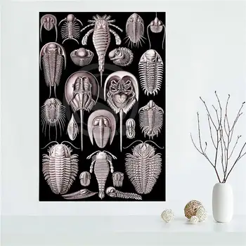 

YJW523-L61 Custom ASB Vintage Haeckel Sea Shell Canvas Painting Wall Silk Poster cloth print DIY Fabric Poster FF-51