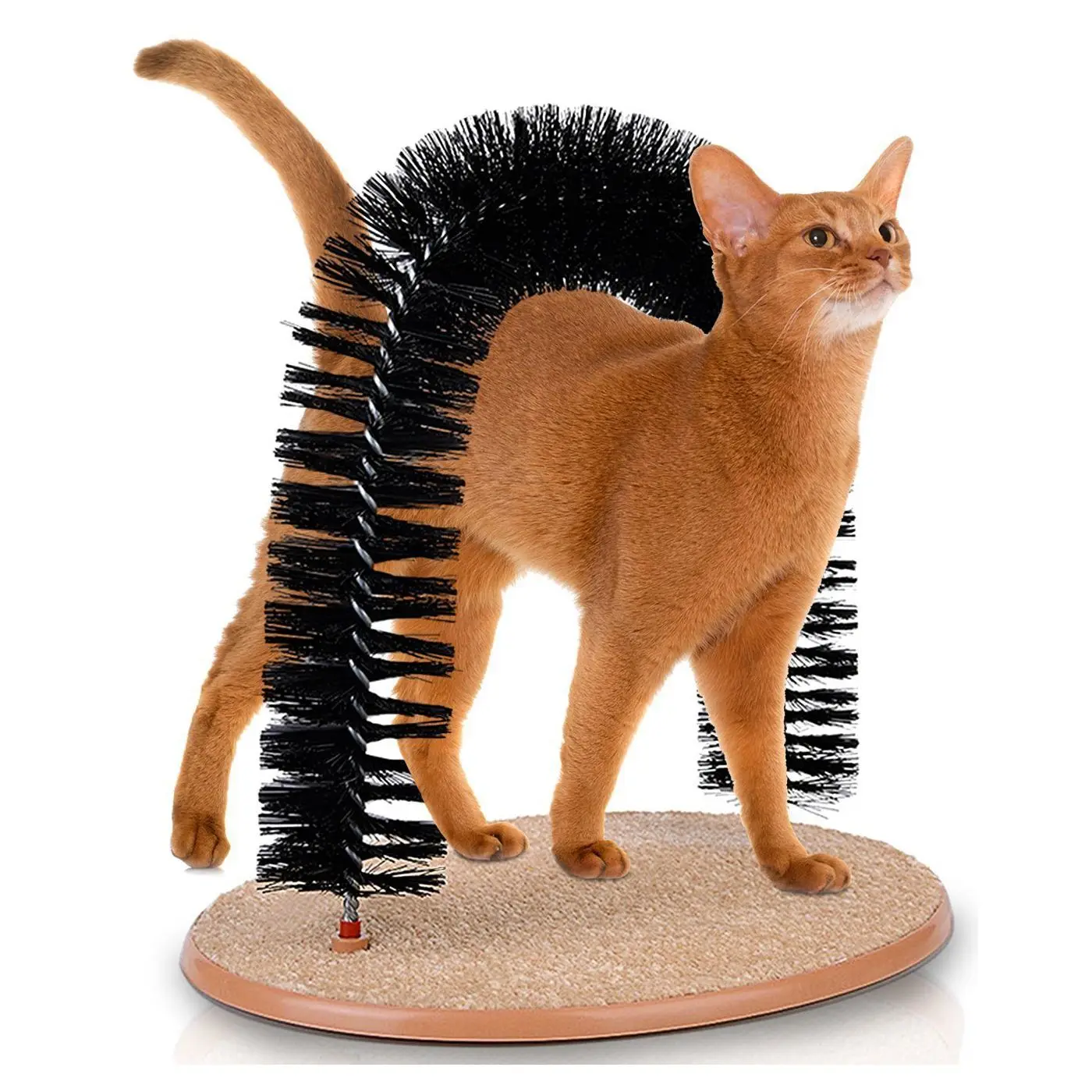 Good Arch Pet Cat Self Groomer With Round Fleece Base Cat Toy Brush Toys For Pets Scratching Devices Good Arch Pet Cat Self Groomer With Round Fleece Base Cat Toy Brush Toys For Pets Scratching Devices
