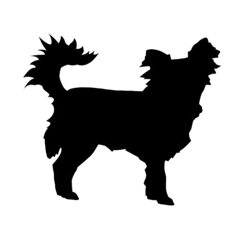 Download 12.4*10.8CM Long Haired Chihuahua Animal Car Sticker Cute ...