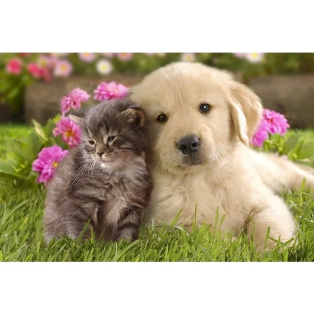 

Diamond Embroidery 5D DIY Painting Cute Dogs Animals Full Square Rhinestones party Gifts Craft Home Decoration
