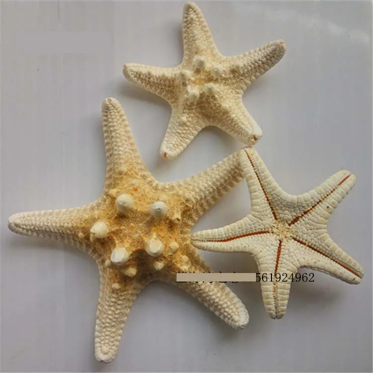 TPRPLH 5 шт. Urchin и 5 шт. звезда рыба натуральный мини морские Urchins DIY 4 см до 5 см украшение дома NL836