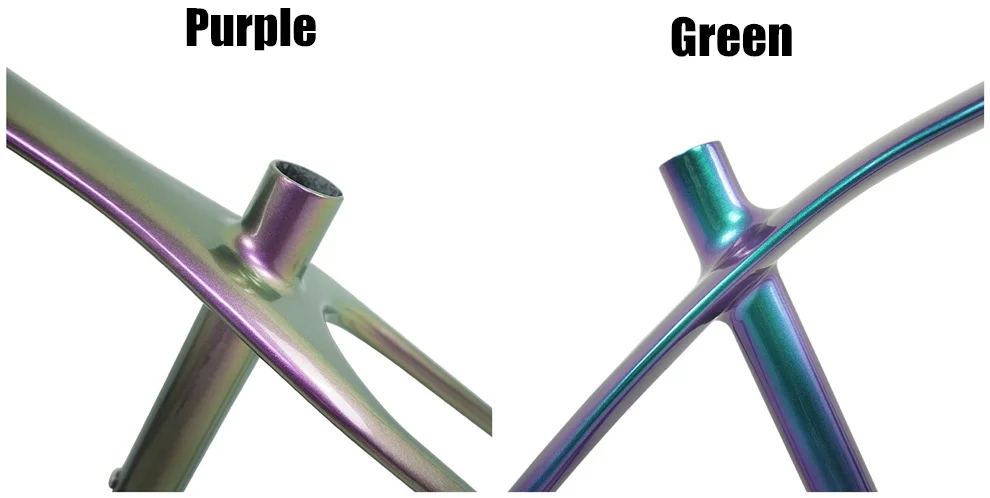 2 chameleon colors