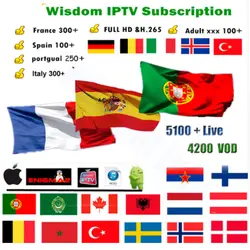 Французский IPTV, Испания, Португалия, Италия, арабский IPTV голландский подписки IPTV мудрость Поддержка Android m3u enigma2 mag250 Смарт iptv