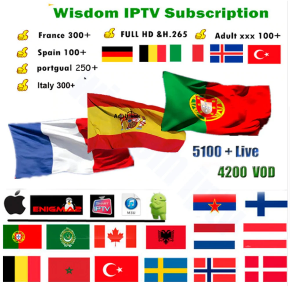 

French IPTV ,Spain, Portugal, Italy, Arabic IPTV Dutch IPTV Subscription Wisdom Support Android m3u enigma2 mag250 smart iptv