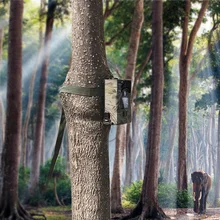 0,2-0,6 s время запуска 90 градусов PIR сенсор охотничья камера инфракрасное ночное видение 1080P Скаутинг Стелс камера s дикий
