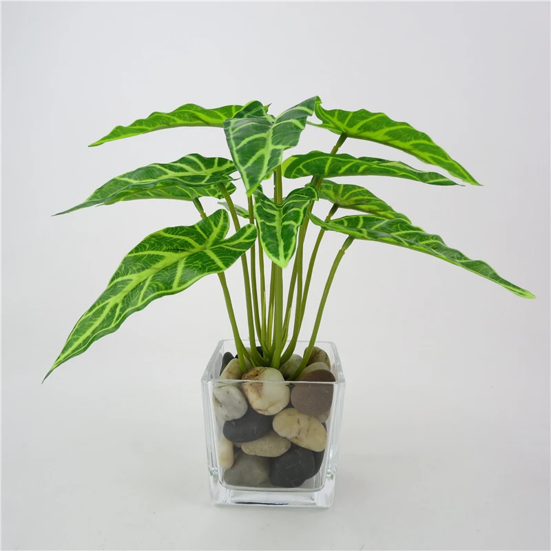 1 - 