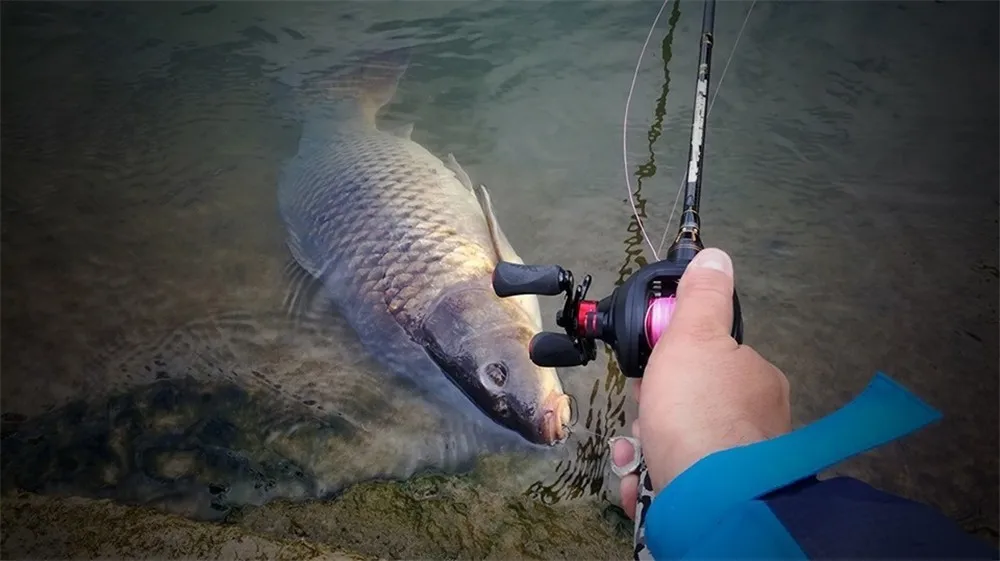 Fiação de Carbono Vara de Pesca Rápida de Água Vara de Pesca de Fundição Dicas Camuflagem Seção Isca 1.8 m Peso 3-21g Ação Salgada de Fundição 2 7 Esporte e Lazer