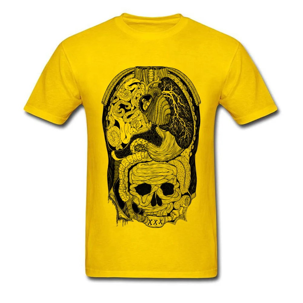 Gross Anatomy_yellow