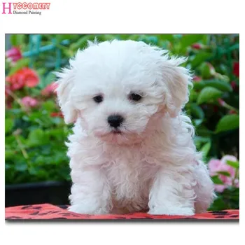 

DIY 5D Diamond Embroidery maltese dog Diamond Mosaic Image of square Diamonds Painting animal pet Cross Stitch kits home decor