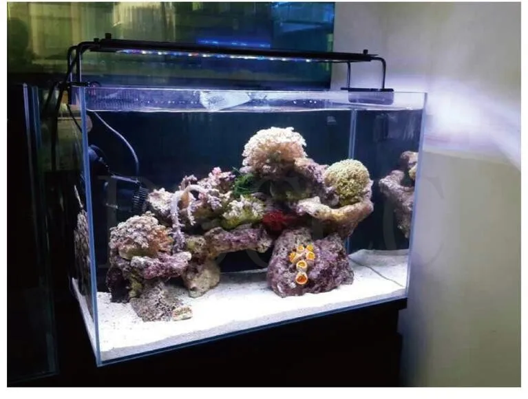 Лучший Коралловый светильник 90-120 см полный спектр регулируемый светодиодный светильник для аквариума подходит для коралловых рифов