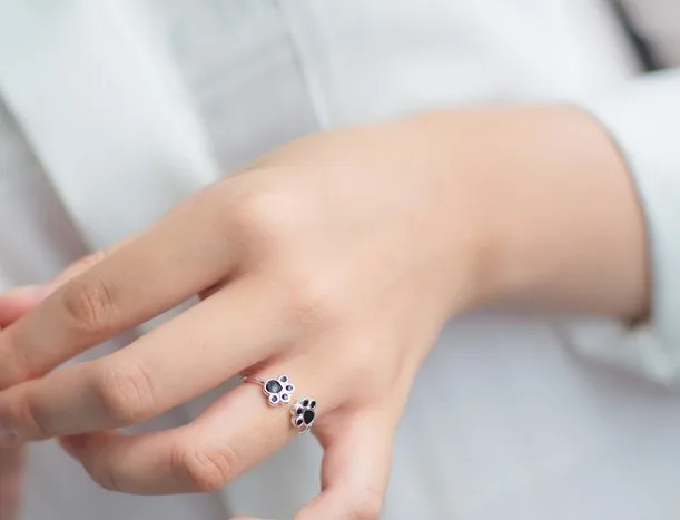 4320570210_1446944612