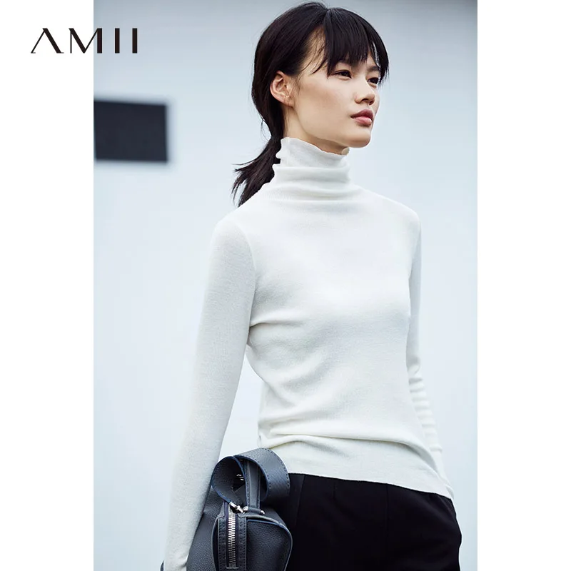 

Amii Minimalist Casual Women Sweater 2019 Turtleneck Warm Female Pullovers Sweaters