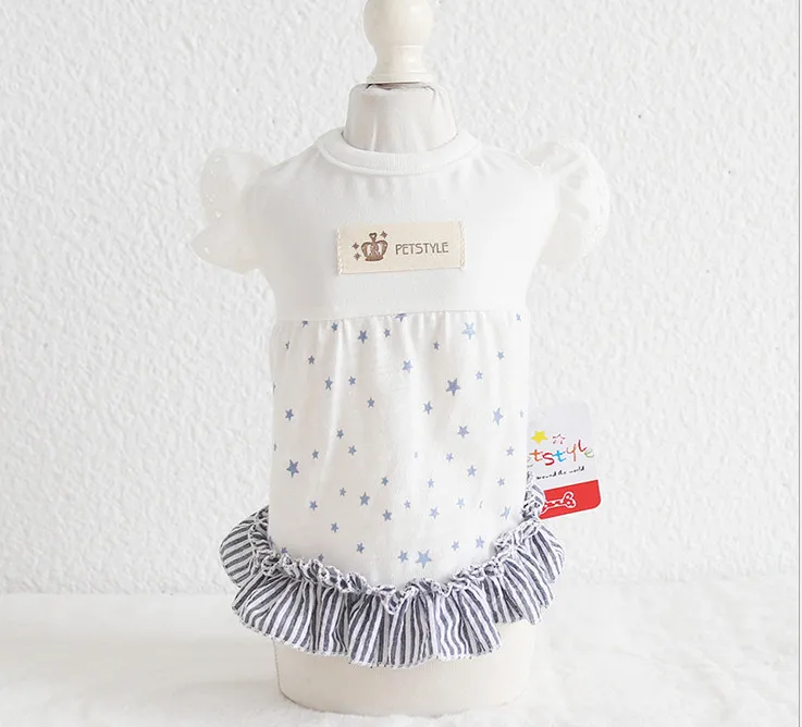 19SS43 (1)