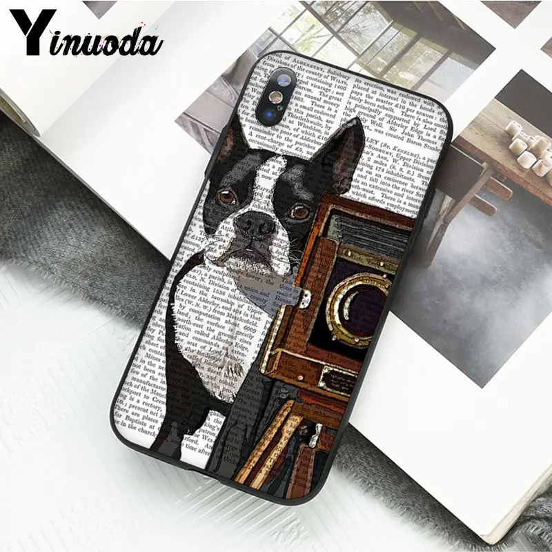 Book newspaper background Cute French Bulldog