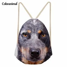 Coloranimal Мини легкая многоразовая дорожная пляжная сумка на шнуровке милые животные собака Крупный рогатый скот собака шаблон рюкзаки для женщин и мужчин школьные сумки
