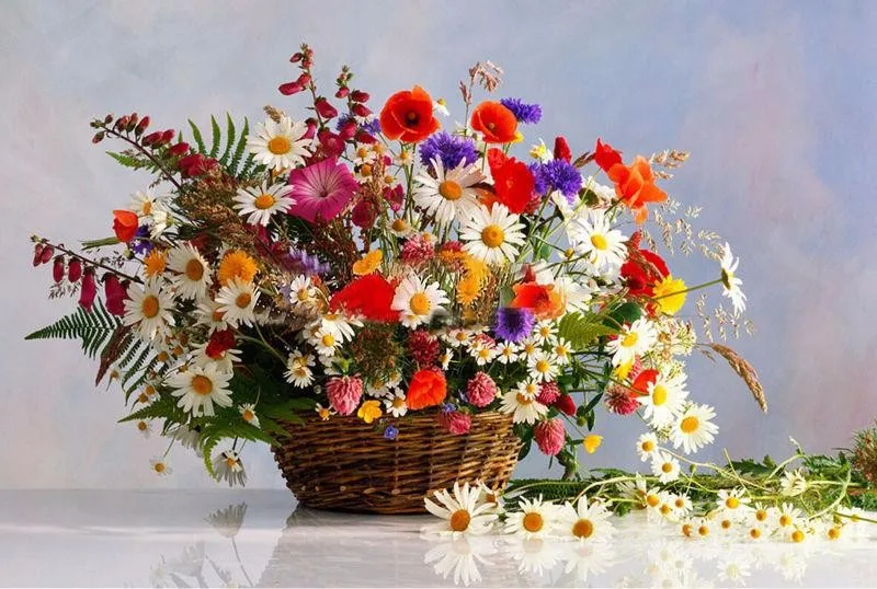 5D Diamond mosaic diamond embroiderye Daisy variety of flowers and baskets mbroidered Cross Stitch Home decoration Gift