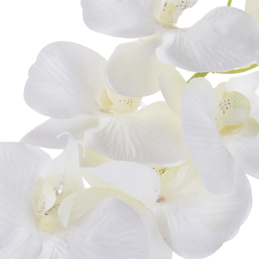 ZS313Milkwhite (3)