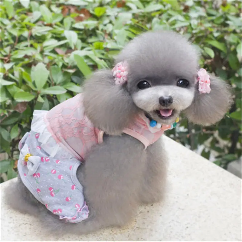 

2019 new arrival cheap dog clothes cotton puppy dog vest for small dog t shirt teddy babe magnet baby dog