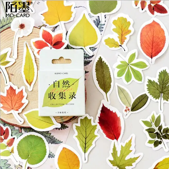 

45pcs/pack Plants English Words Stickers Scrapbooking Totem Memo Sticker Home Decorations Stationery Girls Birthday Gift