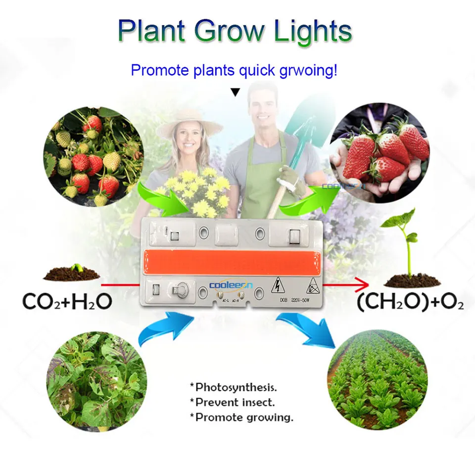 Plant Grow LED Light Bulbs COb Chip 50W 220V AC Lighting Source Full Spectrum Driverless LED Lights for Plants Growing 11040mm (1)