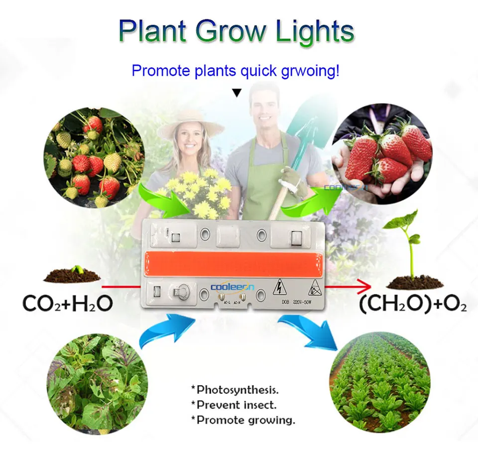 5 шт. AC COB Светодиодная лампа для роста растений источник чип Smart IC 220 В 50 Вт полный спектр светодиодный светильник ing лампа для выращивания растений без водителя светодиодный