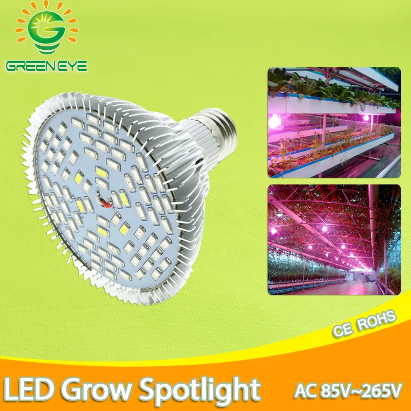 

LED Grow Light E27 Lampada LED L Full Spectrum cfl 5W 30W 50W 80W Indoor Plant Lamp IR UV Flowering Hydroponics System Garden