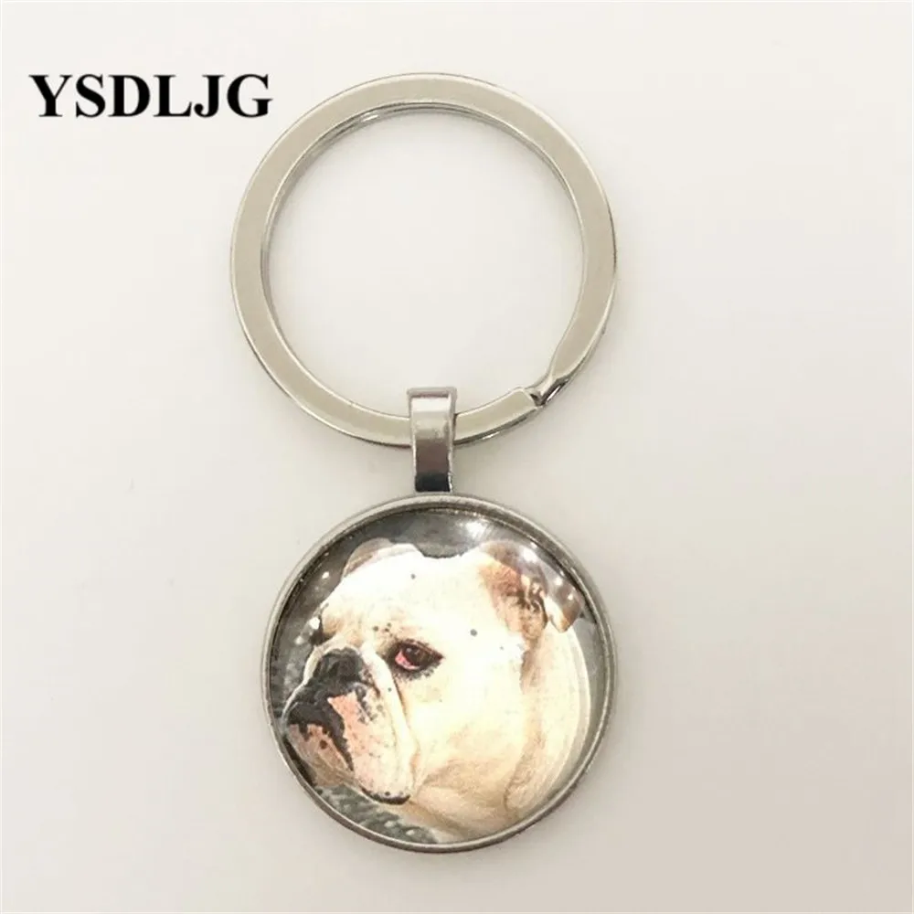 

Key To My Heart Bulldog! Glass Dome, Pendant & Chain, 100% Donated to Charity Glass Cabochon Keyring Gift for Women Pendant