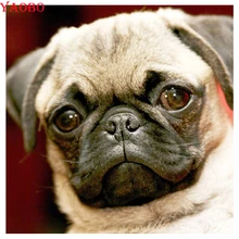 DIY Pet фото на заказ алмазная живопись, алмазная вышивка шар пей, 5d Вышивка крестиком, 3d картины, Алмазная мозаика, Алмазная мозаика