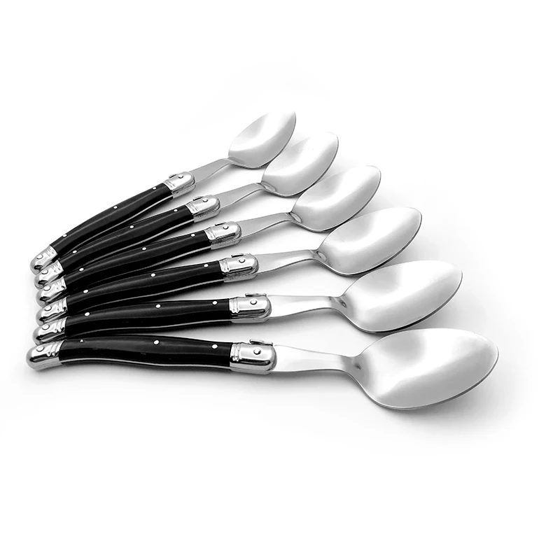 Black dinner spoon set  (1)
