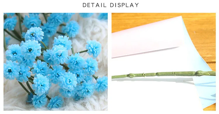 4653517722_1885843273