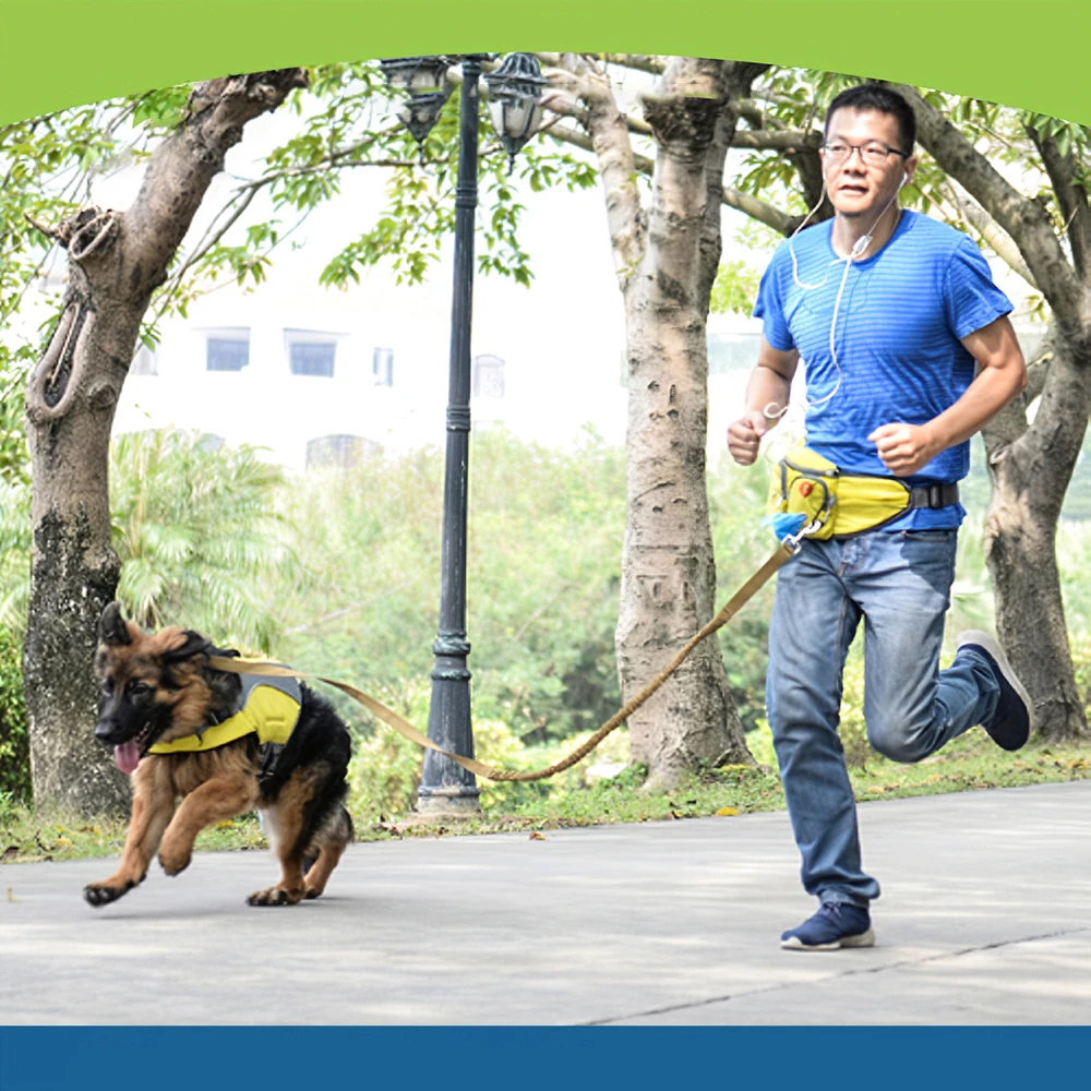 Регулируемый походный бегущий мешок для экскрементов диспенсер для переноски водостойкий для активного отдыха Pet Dog поясная сумка