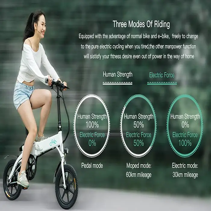 Clearance 14 Inch Electric Bicycle Aluminum Alloy 250W Motor 36V Electric Mountain Bike Cycling Waterproof Lightweight Foldable Electric 4