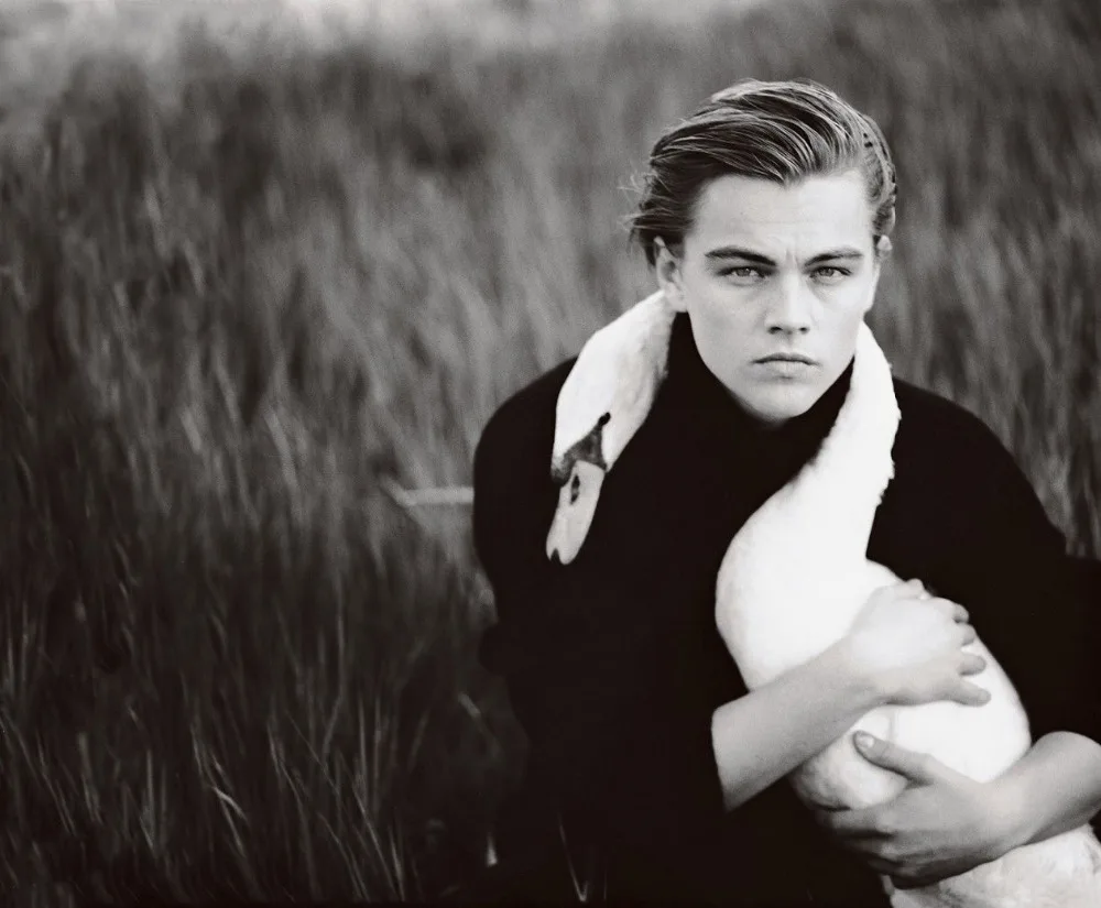Home Decor Leonardo DiCaprio Actor Star-Silk Art Poster Wall Sicker Decoration Gift