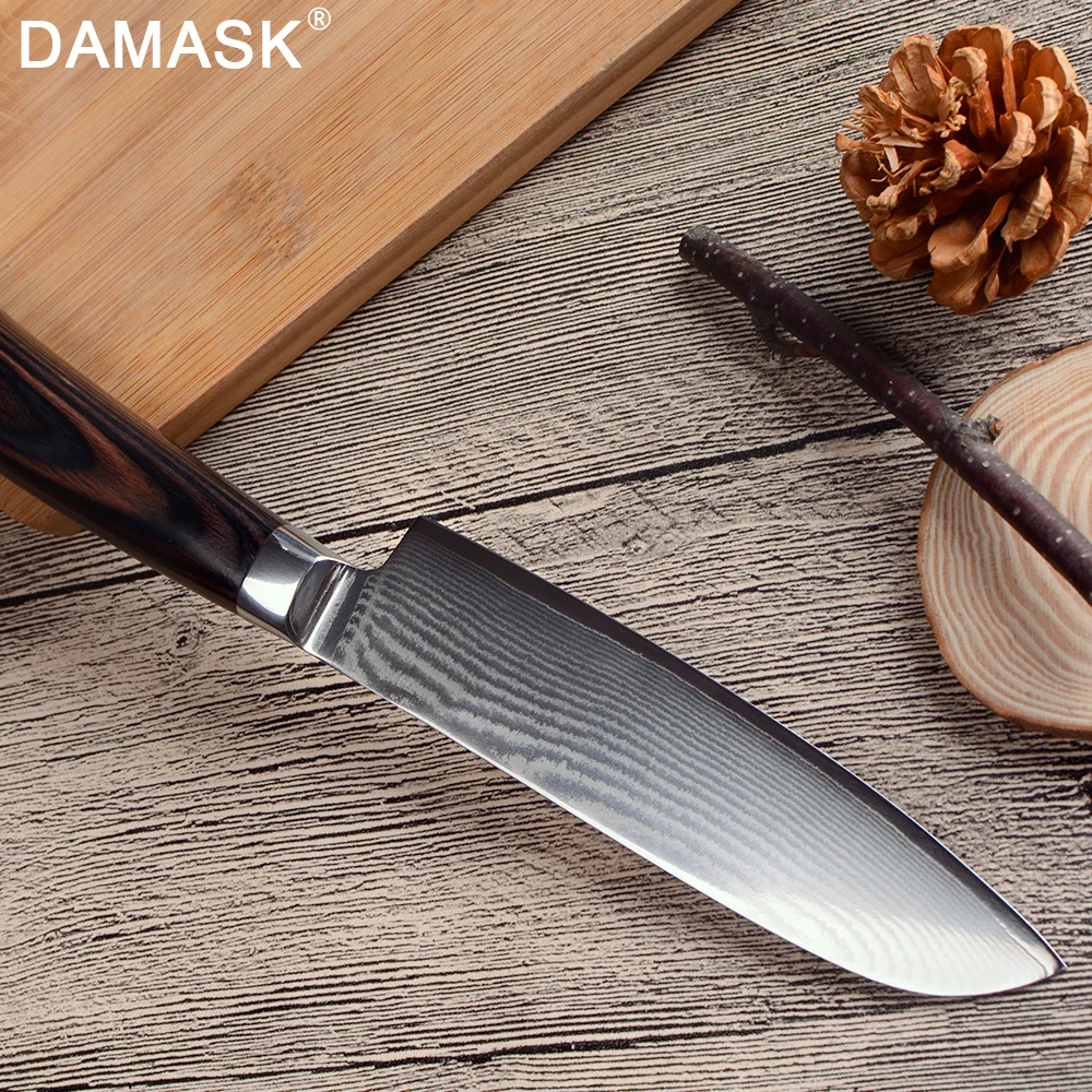 Дамасский лучший набор кухонных ножей 6 шт., многофункциональный набор кухонных поварских ножей VG10 Core 67 слоев, японский нож для приготовления пищи