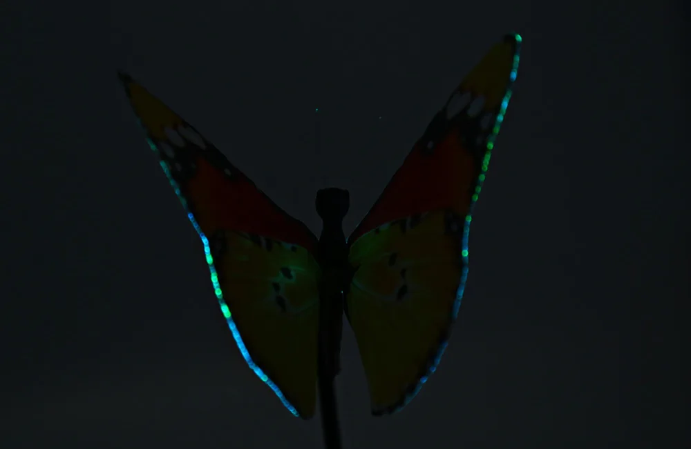 20160625140050_79423