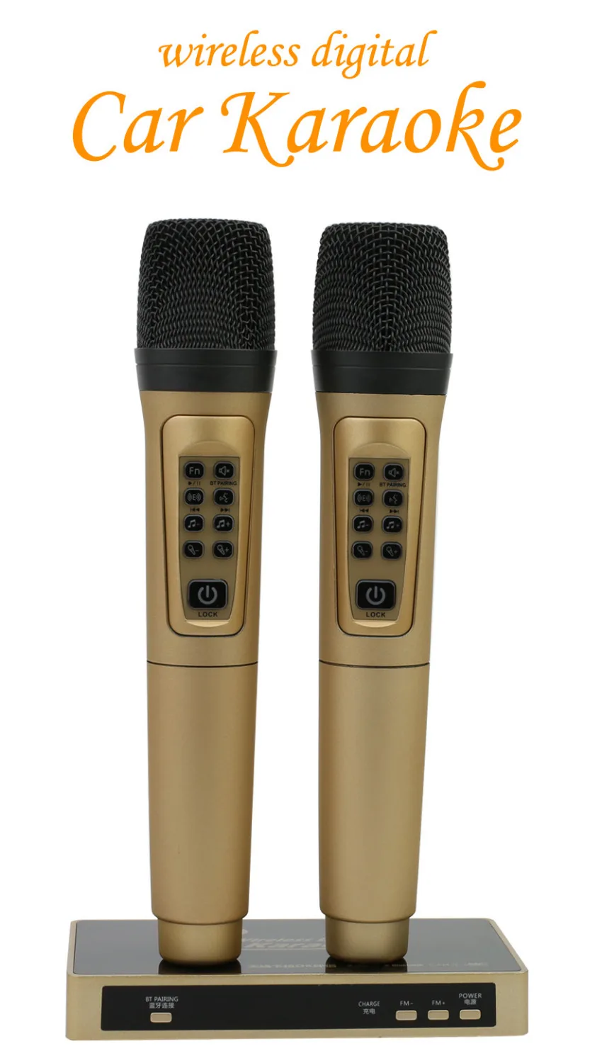 Buy with 2pcs Wireless DSP Mics Bluetooth Portable