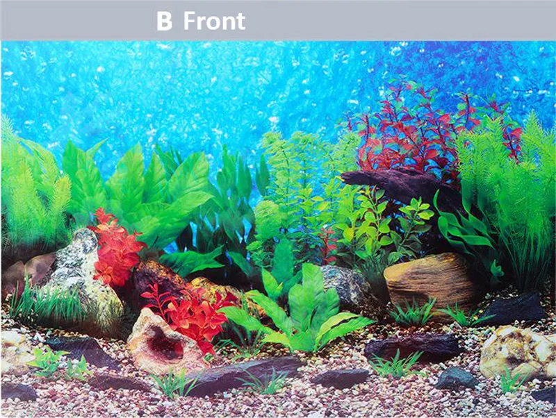 aquarium background paper