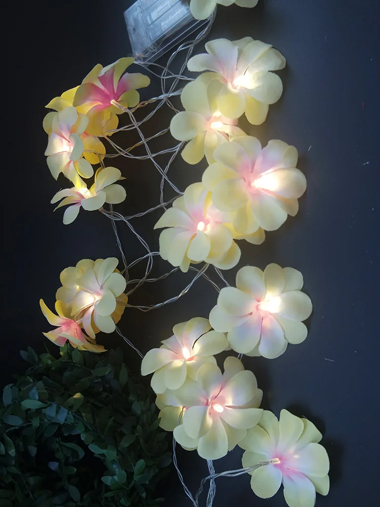 5 метров 40 шт цветок ФРАНЖИПАНИ гирлянда со светодиодным светильник для свадебной вечеринки светильник, декоративный цветочный светильник, комнатный ночной Светильник