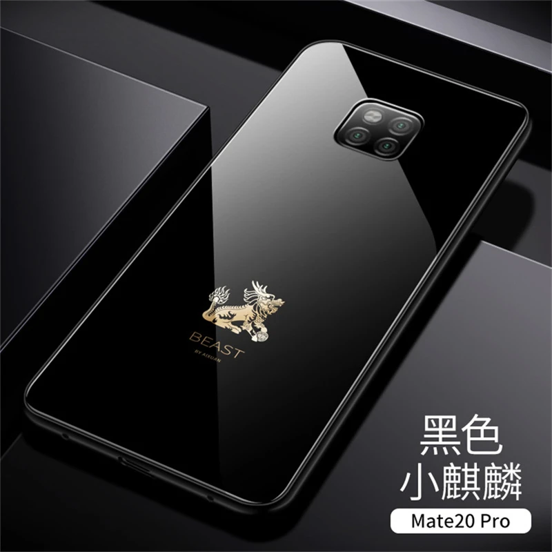 Tempered Glass Phone Case For Huawei Mate 20 (18)