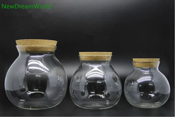 4.3 Round Glass Jar with Cork Living Moss Ball and Shells Aquarium Gravels LED Aquarium Kit