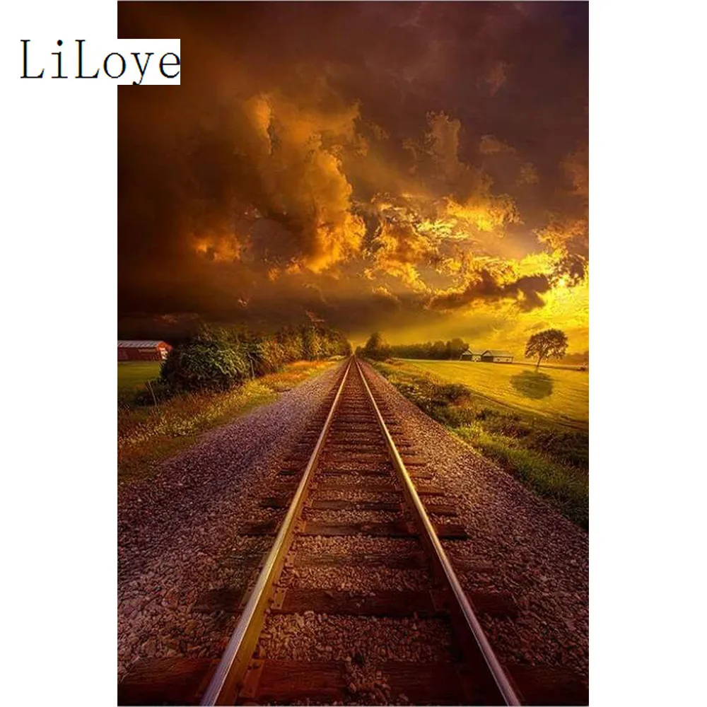 

LI LOYE 5D Diamond Embroidery Single track Scenery DIY Diamond Painting Cross Stitch Rhinestones Full Diamond Mosaic Decor FZ138