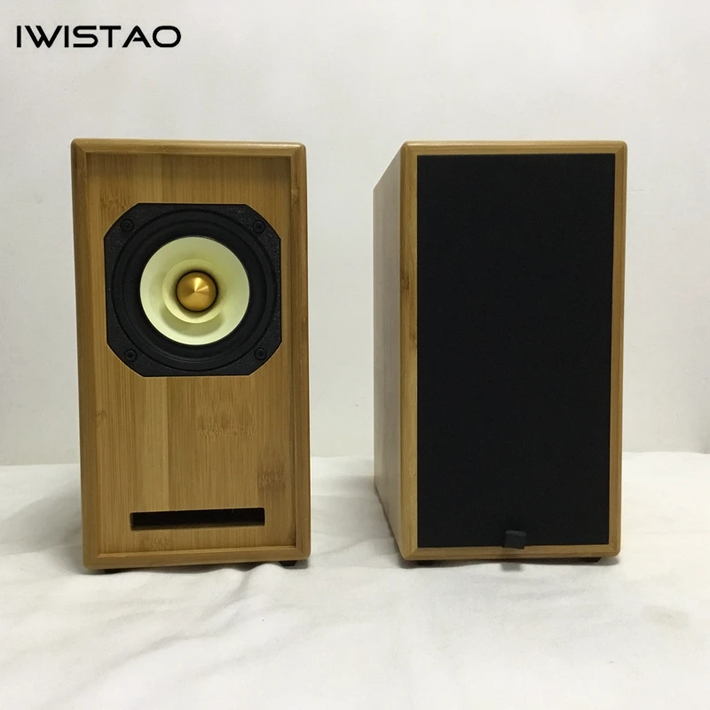 IWISTAO HIFI 4 Inches Full Range Labyrinth Speaker